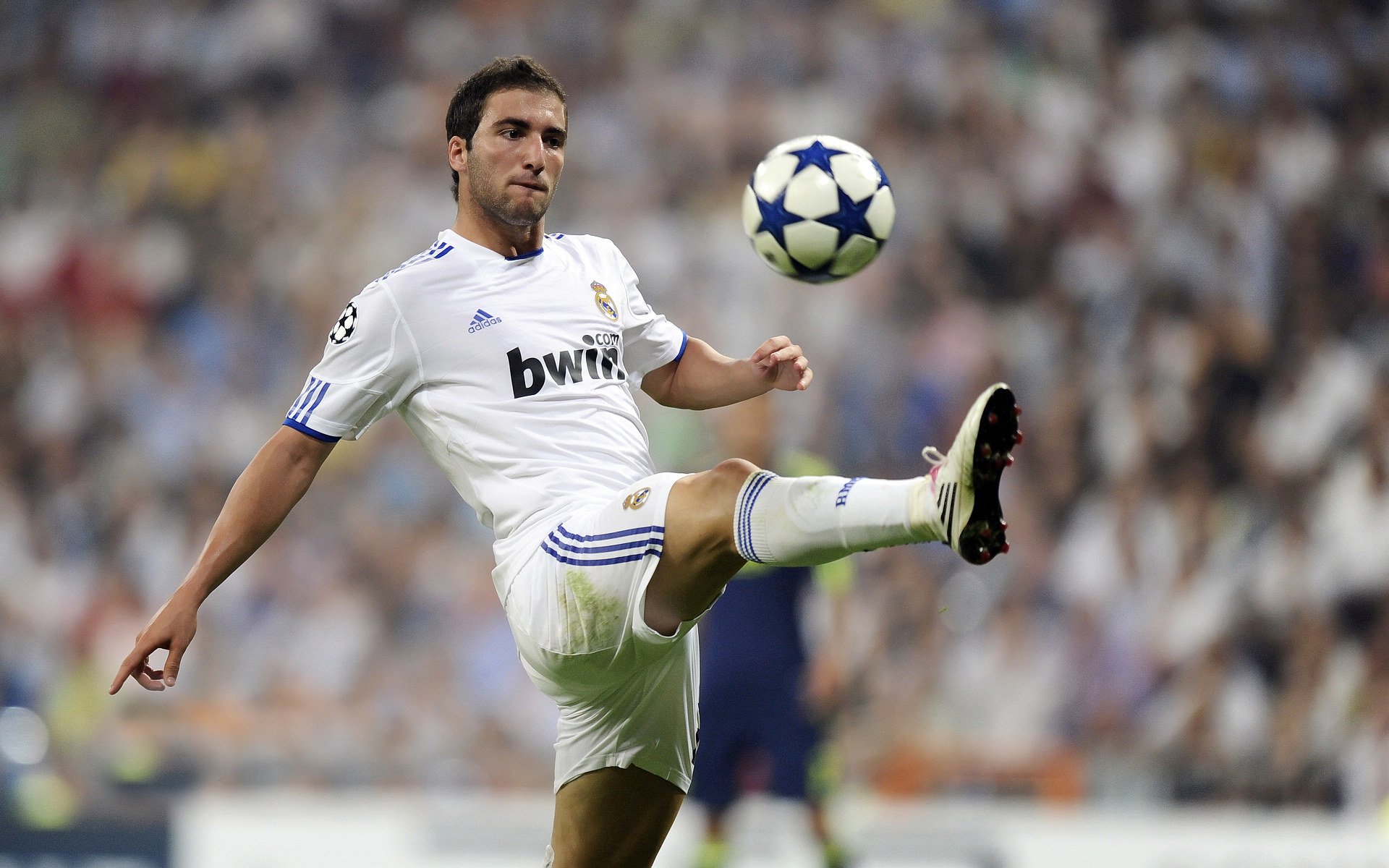 奇才球队攻防配合日趋成熟，奇才队是什么意思